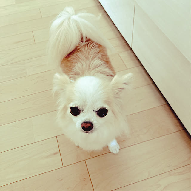 Sweetpeaさんの実例写真