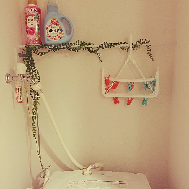 misakigtさんの実例写真