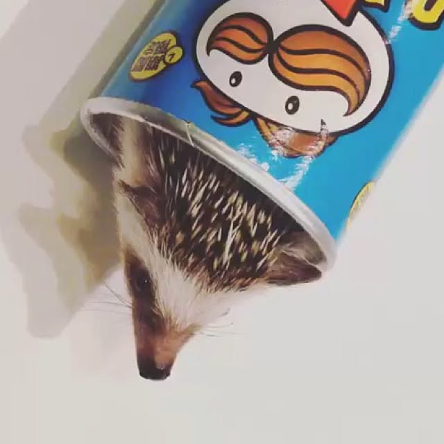 ctaさんの実例写真