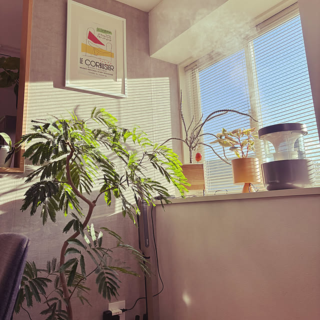 naco.さんの実例写真