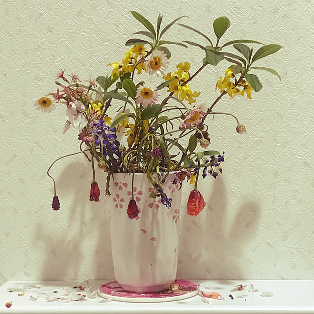 fuyiqian1026さんの実例写真