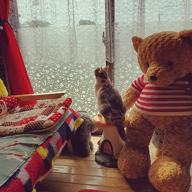 kumutanさんの実例写真