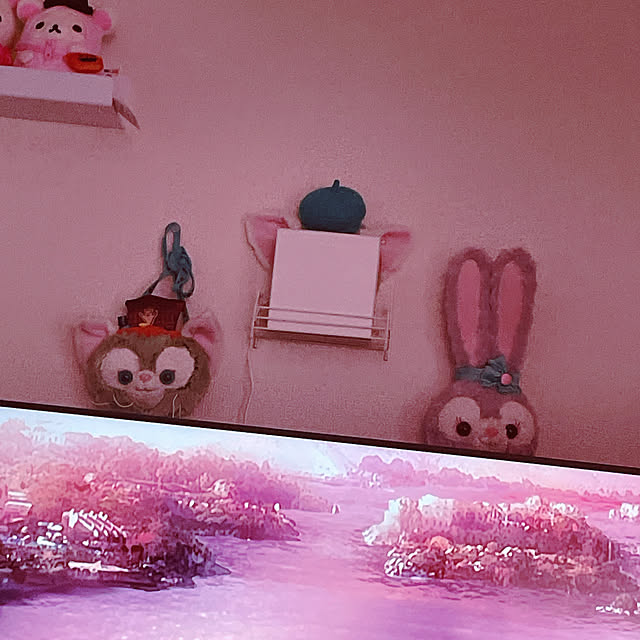 shieさんの実例写真