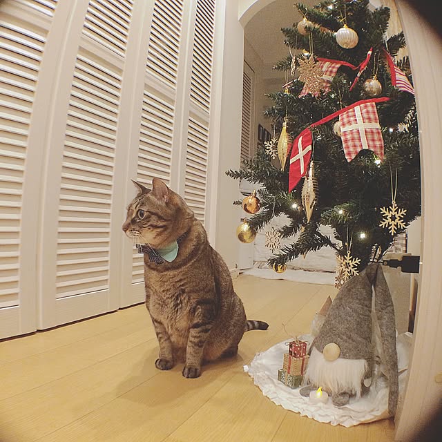 lovecatさんの実例写真