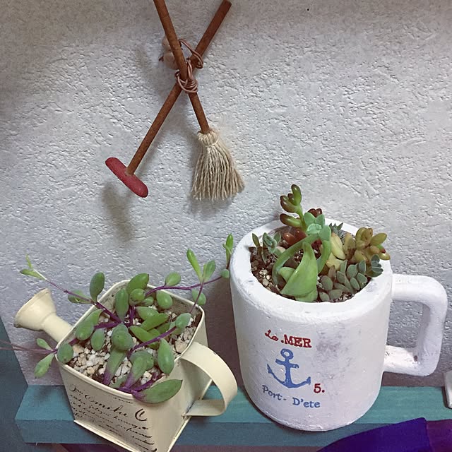 takakoさんの実例写真
