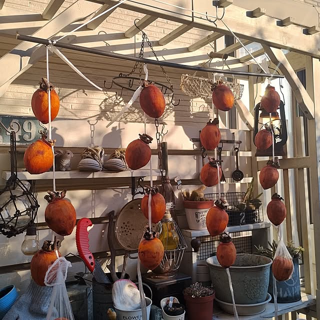 kana_ciiさんの部屋