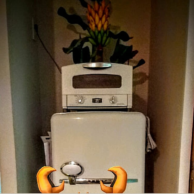 hidemomさんの実例写真