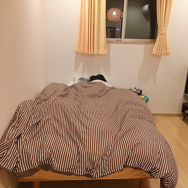 viraさんの実例写真