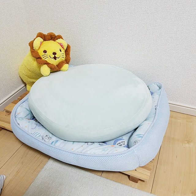sasukeさんの実例写真