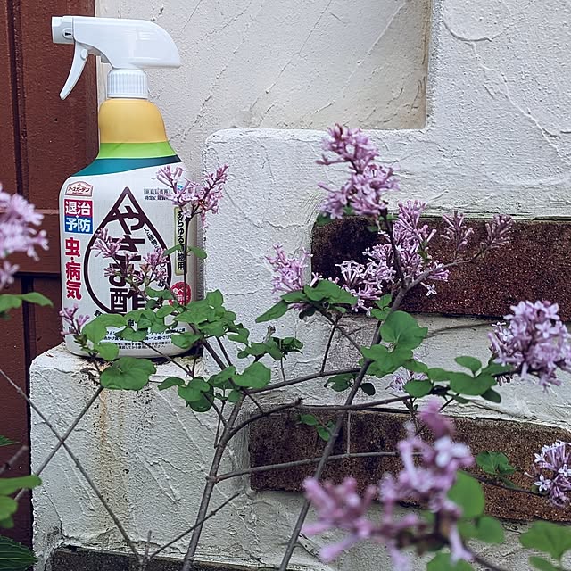 Bienvenueさんの実例写真