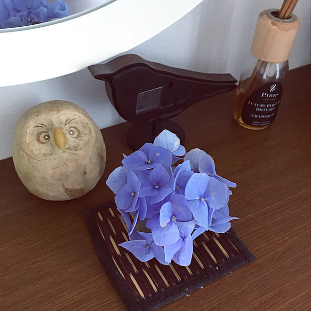Aipoint0524さんの実例写真