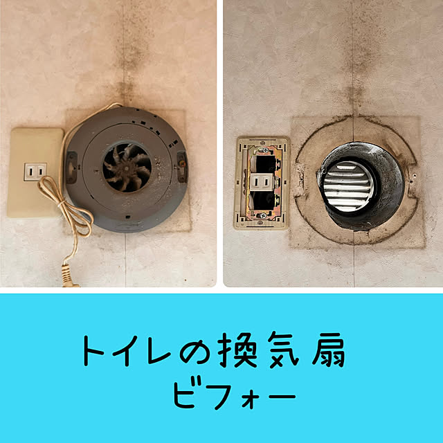 Attaさんの部屋