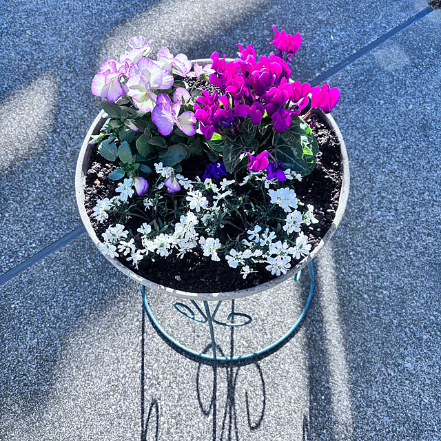 Yukikokoさんの実例写真