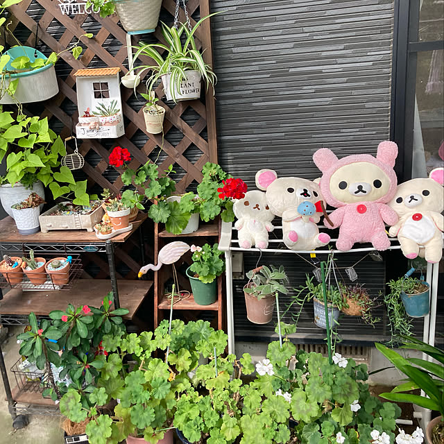 CoCo0617さんの実例写真