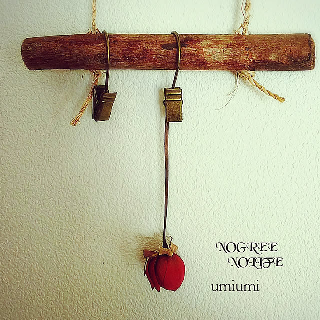 umiumiさんの実例写真