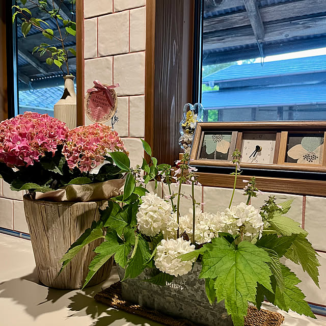 cota2さんの部屋