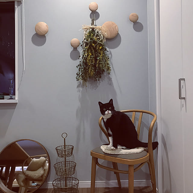 mtkさんの実例写真
