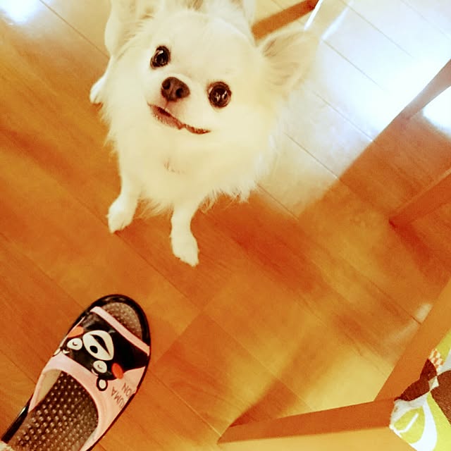 mameさんの実例写真