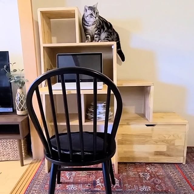 lovepeaceさんの部屋