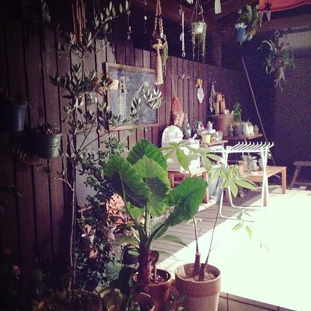 minomonさんの実例写真