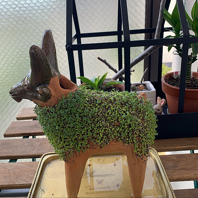 aureaさんの実例写真