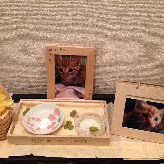 yufullfullさんの実例写真