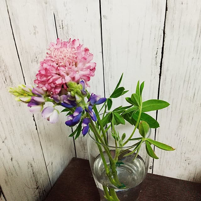 Shion+さんの実例写真