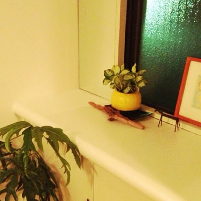 hibanaさんの実例写真