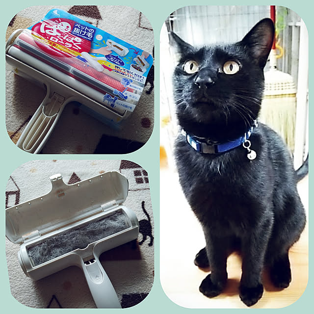 mntcさんの実例写真