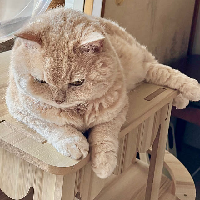 naokoさんの部屋