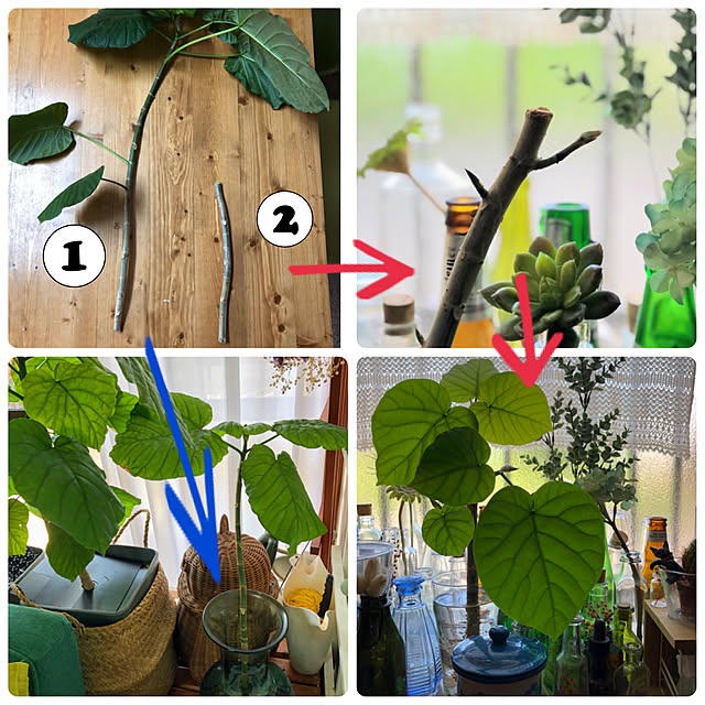 mohhaさんの実例写真