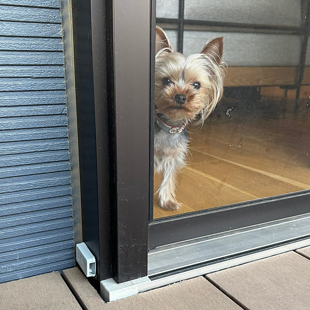 Y33355さんの実例写真