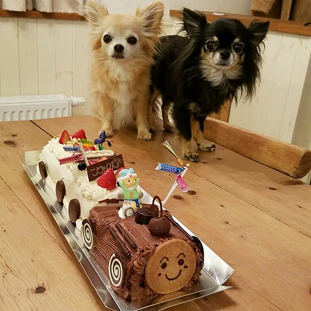 キッチン/いつもいいね！ありがとうございます♪/チワワ飼ってます/こんなのばっかりですみません/子供...などのインテリア実例 - 2017-05-05 21:54:07