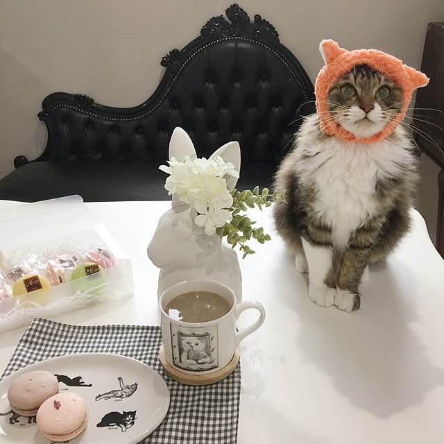 yuchiさんの実例写真
