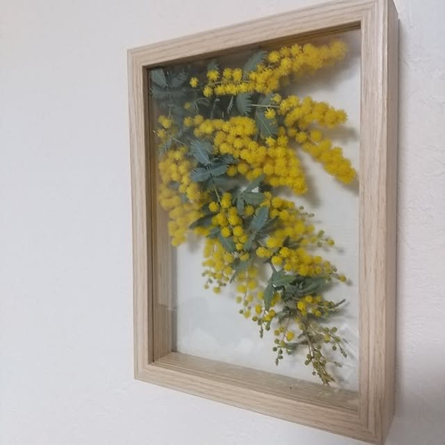 tomomiさんの部屋