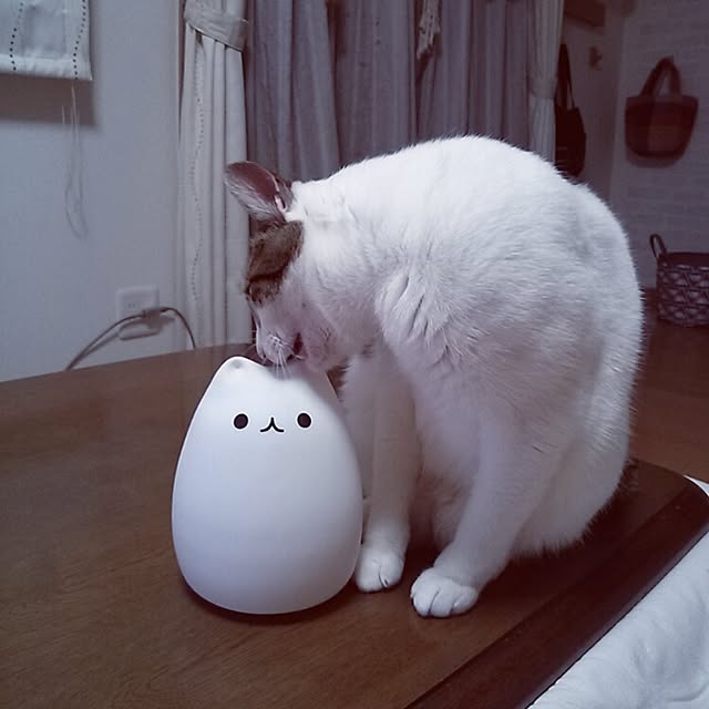 kamekoさんの実例写真