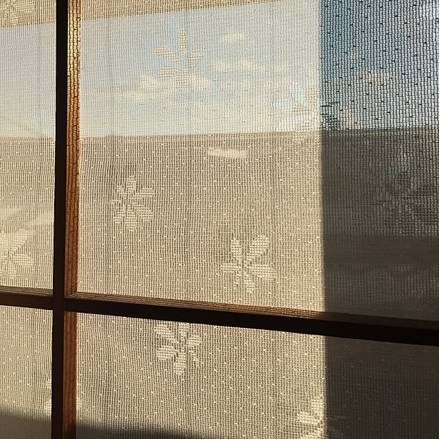 nonさんの実例写真