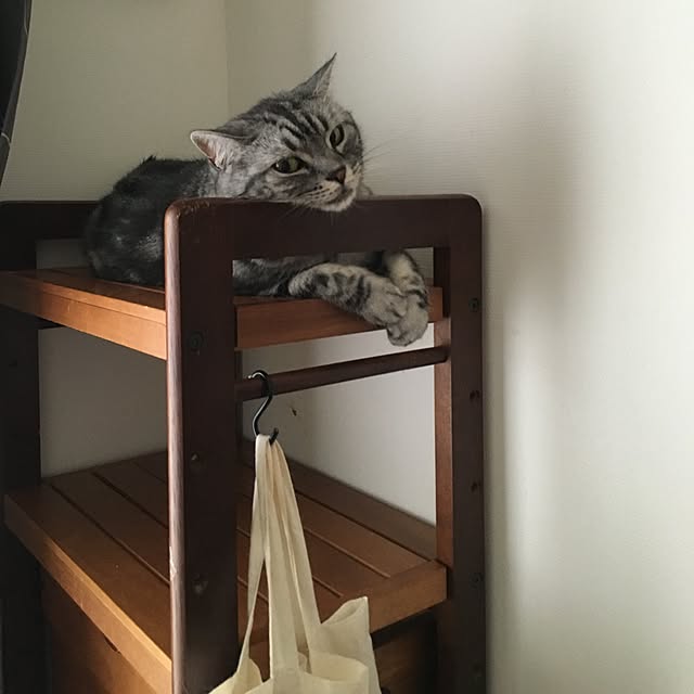 mikomaruさんの実例写真