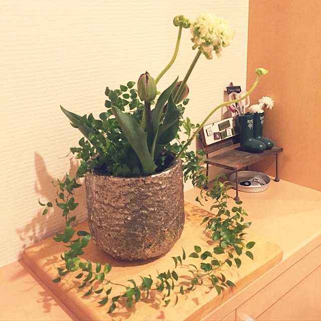 ochirinさんの実例写真