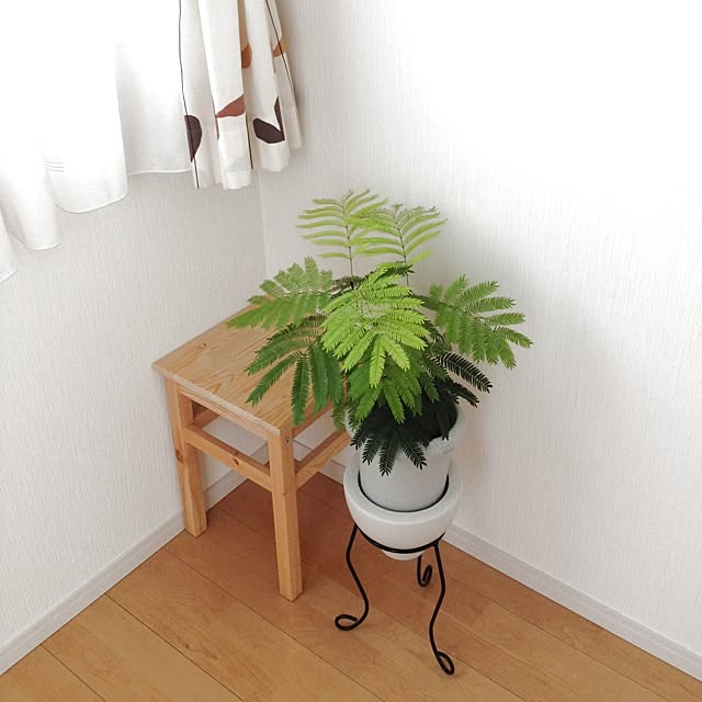 dicekbeetleさんの実例写真