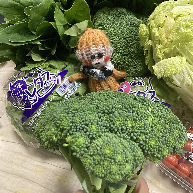 manduonmaさんの実例写真