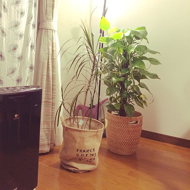 Tamieさんの実例写真