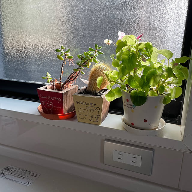 meruさんの実例写真