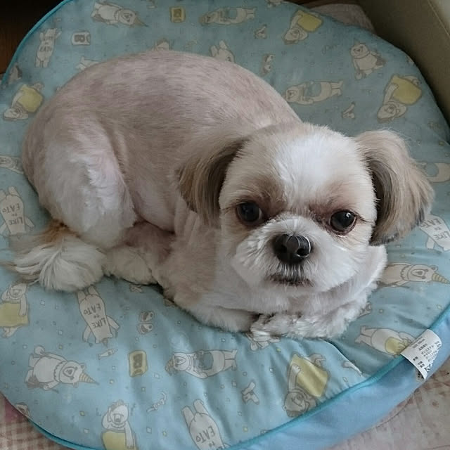 ronさんの実例写真