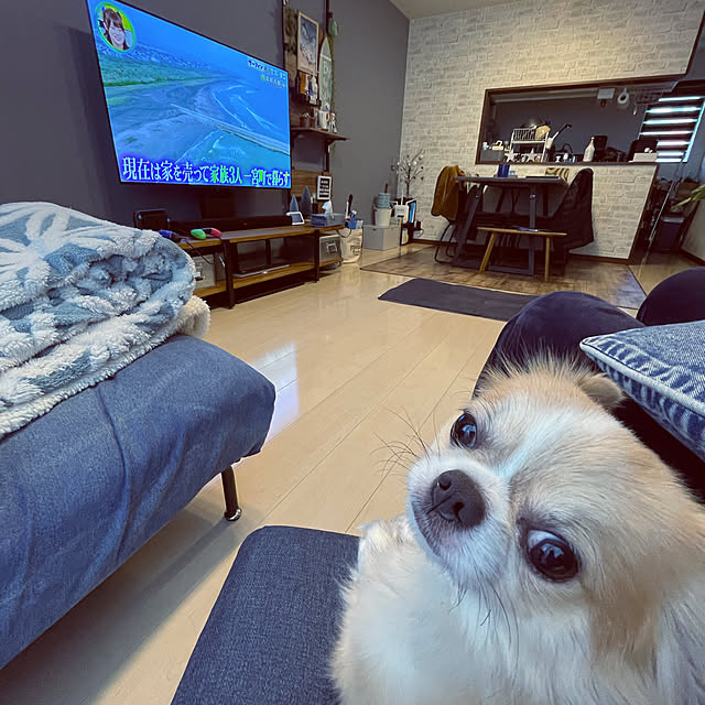 rhcmayuさんの実例写真