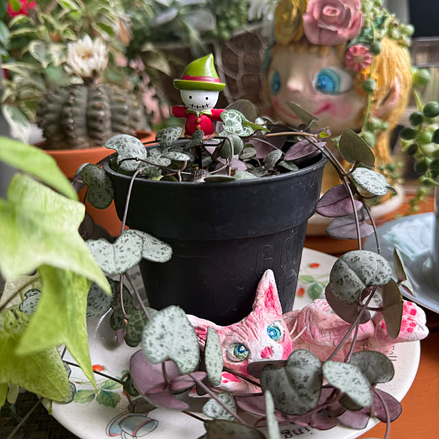 Aqettyさんの実例写真