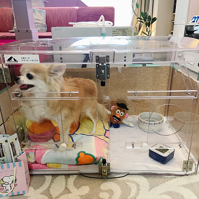 Emafuさんの実例写真