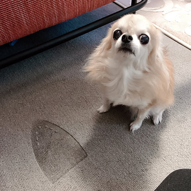 Emafuさんの実例写真