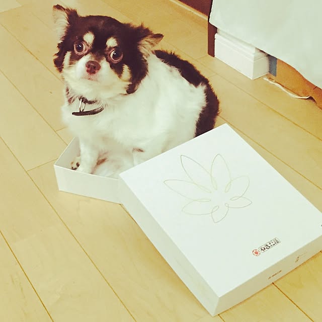 na_chanさんの実例写真