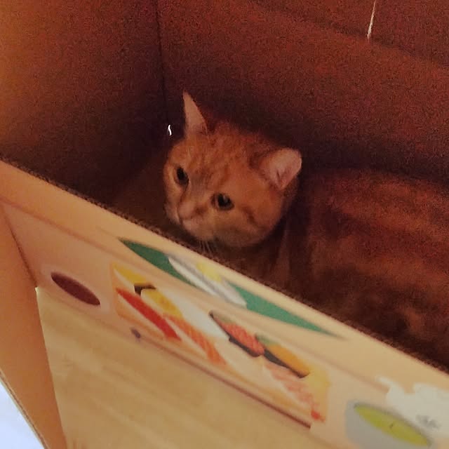 runaさんの部屋